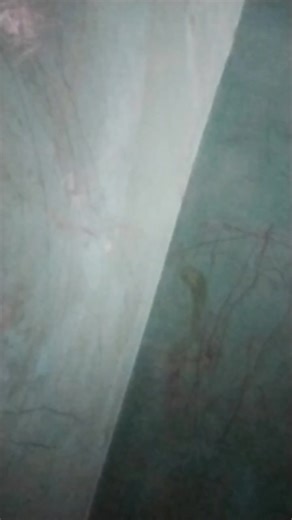 Repan Repan (@repan.repan357)’s videos with suara asli - IKI CEPEK - pokok aku cepek