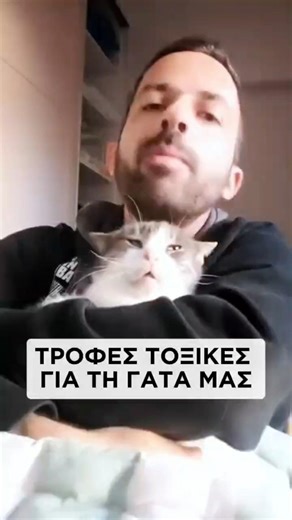 4 ΤΟΞΙΚΕΣ.ΤΡΟΦΕΣ ΓΙΑ ΤΗ ΓΑΤΑ