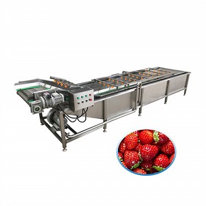 [Hot Item] Factory Price Cherry Ozone Washer Strawberry Bubble Washing Machine Peach Grape Cleaning Machine