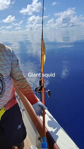 Exploring Fishing Sports in the Baa Atoll | Giant Squid Encounters