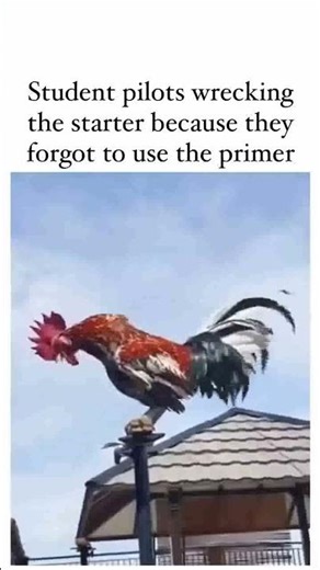 Student pilots wrecking the starter - rooster