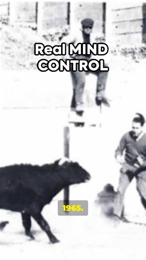 He Built a Remote Control for the Brain ⚙️