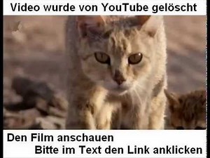 Deutschland - Die Katze - deutsch