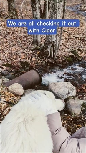 DIY bridge is put to the test after a heavy downpour