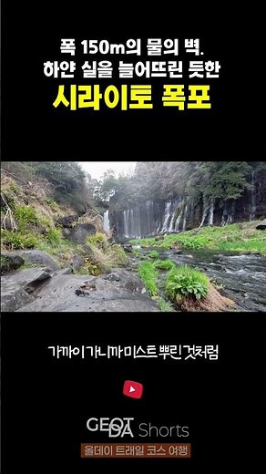 폭 150m의 물의 벽.하얀 실을 늘어뜨린 듯한, 시라이토 폭포 #시라이토폭포 #일본여행 #시즈오카