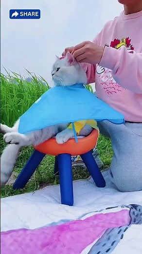 "Too Cute to Handle: Watch This Adorable Cat!" ‑ [Cutest animal Moments] #pets