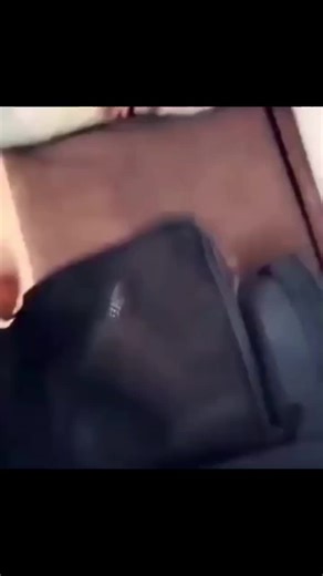 dancing machine 🎵 #raccoon #foryou #fyp #maurmaur #momo #raccoons #dance