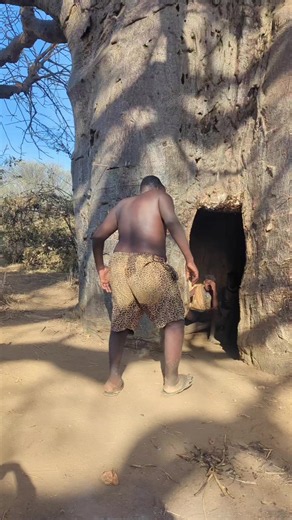 Giant run away @Bigmapochopocho #foryoupage #worldwide #funnyvideos #trendingvideo #viralvideo