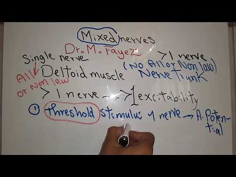 Nerve new system (Mixed nerves, Compound action potential and Nerve conduction) dr mohamed fayez