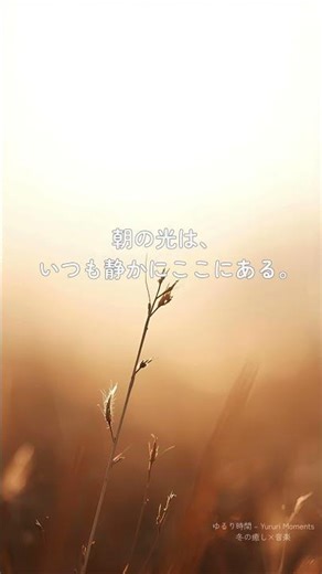 【ゆるり時間】やさしい光が、心を少しあたためる #ゆるり時間 #癒し #寝落ち音楽