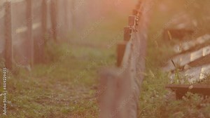 Watering process on a snail farm. Irrigation of snails with water on the farm. Creating a microclimate for snails Stock Video