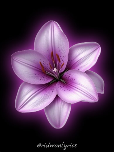 Melodic English Song Lyrics Compilation for Romance Vibes