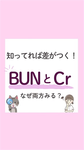 看護師ゆこ on Instagram: "フォロー・コメントで資料全員にプレゼント🎁 他の投稿はこちらから↓ @yuko.nurse_mama こんにちは！ 今日の投稿は「BUNとCr なぜ両方みる？」です(^^) 腎機能を評価するとき、 なぜBUNとクレアチニンをセットで見るのか理解してる？ それぞれの数値が教えてくれること、ちょっと違うんです❗️ ただの検査データで終わらせないために、 それぞれについて知っておこう✨ 【資料プレゼント🎁】 ①わたしをフォロー ②「両方」とコメント📝 --------------------------------------------------------- 〜病棟で役立つ知識を発信中〜 よかったらフォローしてください♩ @yuko.nurse_mama #看護師#看護師ママ#看護学生#新人看護師#看護師の勉強垢 #看護学生さんと繋がりたい#ナース#看護師国家試験#看護知識 #検査データ#腎機能"