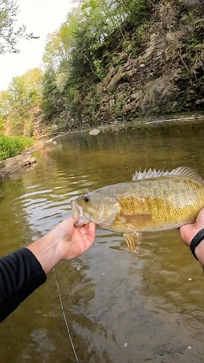 Barefoot bass fishing, nothing better! 🏞️🎣🐟 • • • #fishing #smallmouth #smallmouthbass #bassfishing #bass #smallmouthnation #creek #creekfishing #adventure #outdoors #hiking #fish #kastking #spring | Fishlikemike
