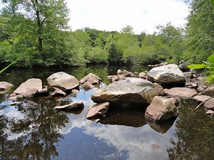 Five Things to Do on Vacation Week