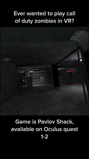 Playing Call of Duty Zombies in VR on Oculus Quest 2