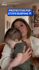 23K views · 267 reactions | It’s okay! He’s not getting hurt  | Daily Mail Entertainment | Facebook