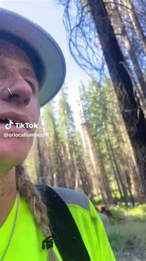 Timber faller (@timber.faller8)’s videos with original sound - Timber faller