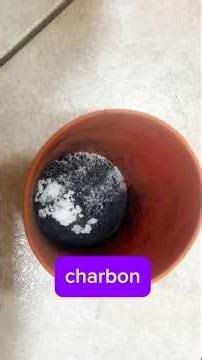 Tip for whitening teeth with charcoal and baking soda #charcoal #baking soda #tutorial