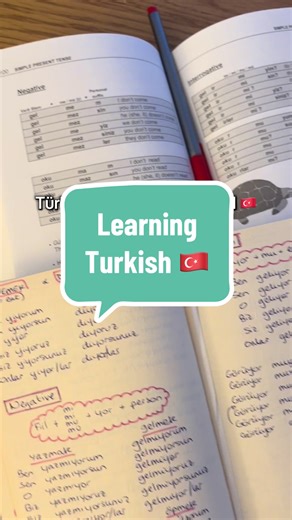 Falling in Love with the Turkish Language: Daily Study Journey