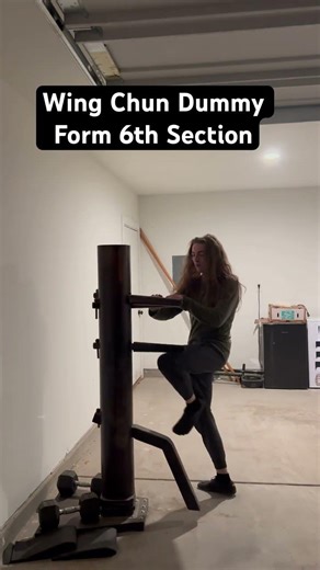 Wing Chun Dummy Form: 6th Section January 2026 #shorts #wingchun