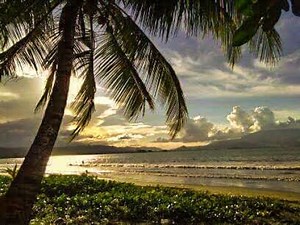 Saterday night - Texas allan ( Rechabar Colection ) 2017