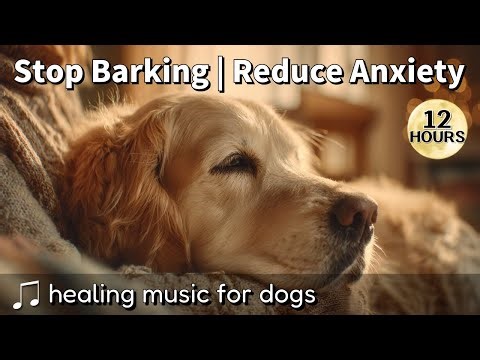🌙 Reduce Dog Anxiety & Barking – Peaceful Music for Home Alone Dogs