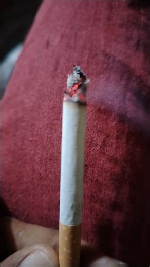 cegarate #shortsfeed