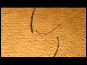 414 reactions · 115 shares | Following the teaser trailer released earlier, this trailer appeared on the Disney Channel on 9 May 2009. This trailer will be seen with Disney/Pixar's UP, opening 29 May in the U.S. | Walt Disney Animation Studios | Facebook