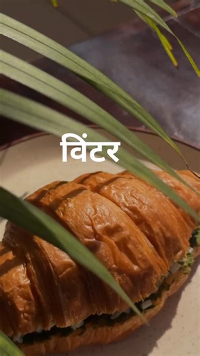 Indore Food Explorer on Instagram: "From flaky croissants and indulgent mac & cheese to soothing filter coffee and warm Nutella hot chocolate ☕🍫 A pure-vegetarian rooftop spot, perfect for family time, friendly catch-ups, and relaxed meals under the open sky 🌆💚 📍Piccolo Cafe by Ettarra 5th floor, The Emporio, MR 10, opposite Hotel Marriott, Scheme no. 54, Indore 📞Contact 9589799499 Follow @indorefoodexplorer for more updates. #Indore #indorecity #indorefood #indorefoodexplorer #explore"