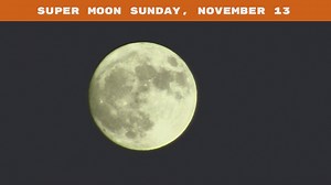 Wildwood Insider on Reels