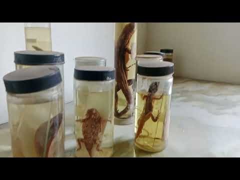 Zoology lab tour . My first year journey 😄 .. #lab #college #1styear #newyear