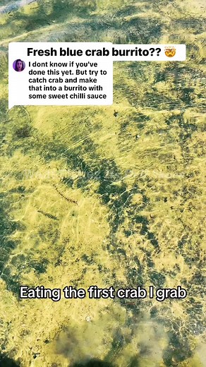 Catching and cooking crabs #cooking #fishing #easyrecipes #outdoors #cheapprice #seafoodlover | Wade Fishez