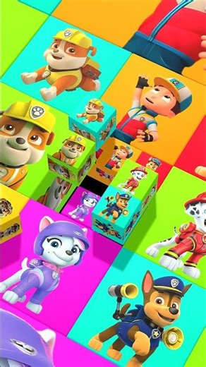 Paw Patrol Zuma Dive 🤿 | 3D Play #zuma #pawpatrol