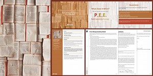 PEE Recap and Practice Lesson Pack
