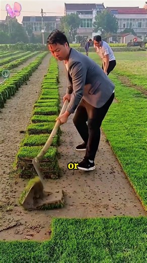 Navigating Difficult Bosses: When It's Their Way or the Highway