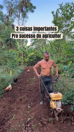 Agrofloresta ASAs on Instagram: "Como é bom trabalhar na agrofloresta"