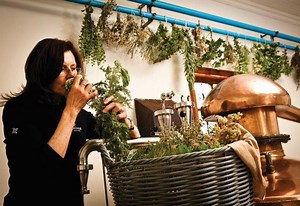 One woman's inspiring story about how a late career change, changed her life and an industry!