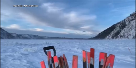 Yukon Quest Alaska: Day 4 leaderboard, one musher withdrawn for activating ’SOS'