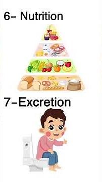 Life Processes and Human Organs Explained | Science for Kids