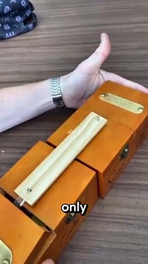 The Most Useless Machine Ever | Truthly