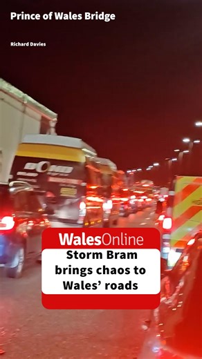 Storm Bram has caused chaos overnight on Monday and into Tuesday as several Met Office warnings came into force across the country, alongside 16 flood warnings and 61 flood alerts. There are currently three severe weather warnings in place which impact Wales over the next 24 hours. The first is a yellow warning for rain which came into force at 6pm on Monday and will remain in place until 2pm on Tuesday. This covers practically the whole of Wales. Read the biggest stories in Wales first by signi