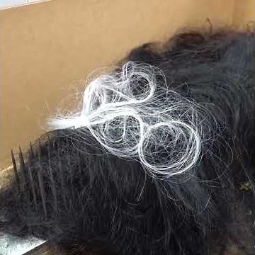 Amazing Skills: Creating a Realistic Human Hair Wig from Scratch