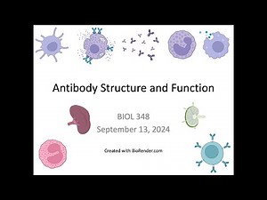 Immunology Fall 2024: Lecture 9 Antibody Structure and Function