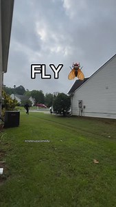 Episode 12 | Season 1 of #buggin 🦋🐞🐝 Season 2 spring 2025 All business or booking inquiries please email me at nate@naterussmedia.com. No DMs. #Bugs #insects #nature #spring #summer #gardening #comedy #explore | Nate Russ Comedy