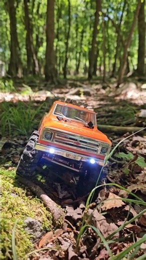 Axial SCX24 CHEVY C-10 ACTION
