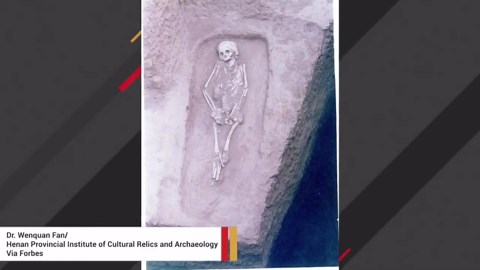 Unearthed skeleton reveals dwarfism case in ancient China