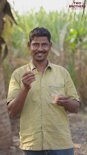 We believe in more than just cultivating organic products,🌿 we cultivate a sense of pride and connection😊 amongst our dedicated team. Recently, we treated our hardworking farmers to a unique experience - tasting the very products they passionately sow, nurture, and harvest. 🙌🤩⭐ It was a fun activity filled with laughter as they gathered around to share their experience. Notice the beautiful smiles😁 and pure honesty and the result - a journey that felt joyful and bountiful as our organic yie