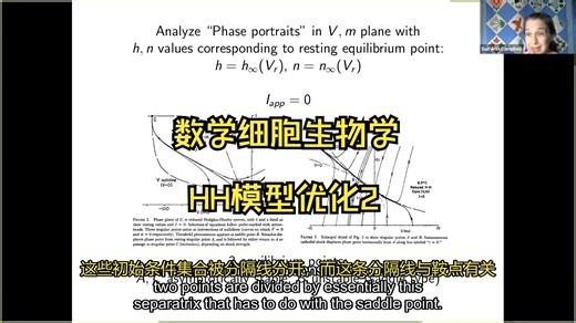 16 HH模型优化2【中配 中字】