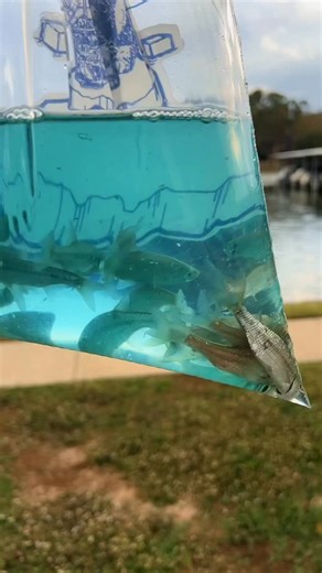 Wadefishez on Instagram: "GRWM to rip lips 👄"